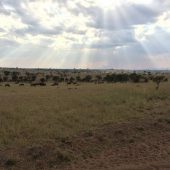  The Serengeti, TZ